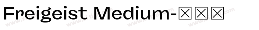 Freigeist Medium字体转换 Freigeist Medium字体转换